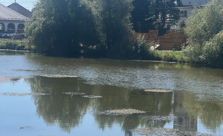 Na PREDAJ menší rodinný dom na veľkom pozemku v tichom prostredí v Martovciach! - fotografia 15